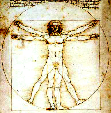 Vitruviano Da Vinci